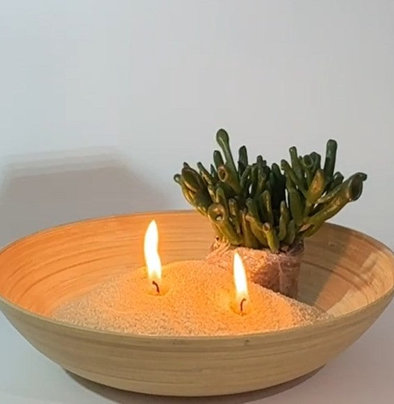 Vanilla Candle & Succulent Arrangement: Healing, Balance, and Beauty for Your Home