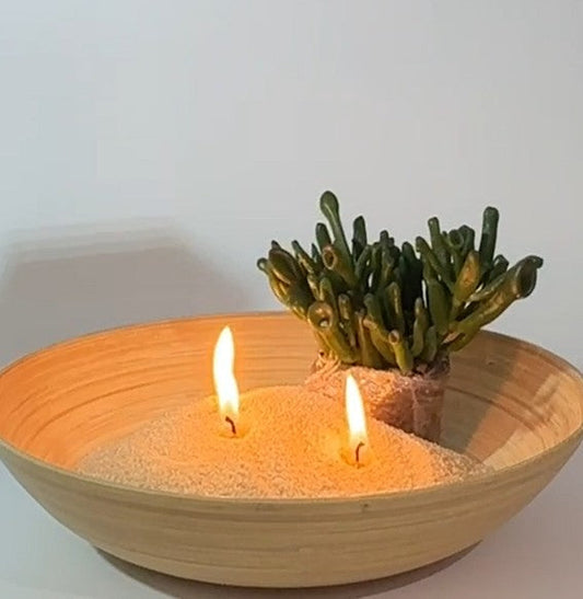Vanilla Candle & Succulent Arrangement: Healing, Balance, and Beauty for Your Home